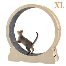 Cat Exercise Wheel - Indoor Cat Treadmill with Carpeted Running Track, Safety Cat Treadmill with Latch, Weighted Wheel for Cats, Add Fun to Cat Exerci