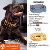 Natural Flea Tick Collar for Dogs 6 Months Control of Best Prevention Safe Treatment Anti Fleas and Ticks Essential Oil Repellent Pack of 1