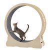 Cat Exercise Wheel - Indoor Cat Treadmill with Carpeted Running Track, Safety Cat Treadmill with Latch, Weighted Wheel for Cats, Add Fun to Cat Exerci