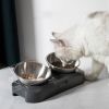 Pet Feeder Stainless Steel Double Bowls 15 Degree Adjustable Pet Cat Feeding Bowl